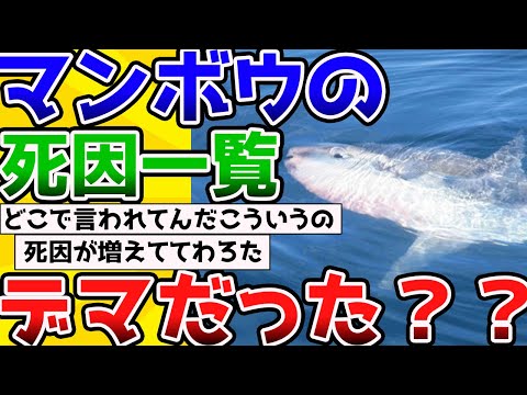 【2ch動物スレ】史上最弱の生物「マンボウ」の死因、ほとんどデマなんじゃないか？？→悪魔の証明だろ