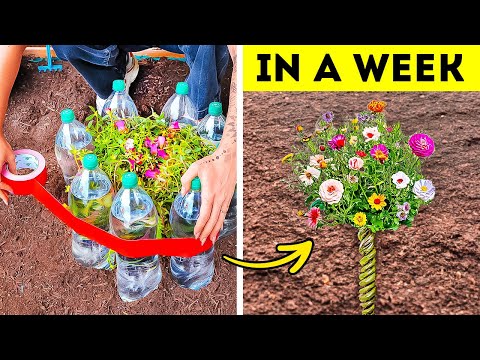 101 Genius Gardening Hacks To Transform Your Garden in a 5 Minutes!