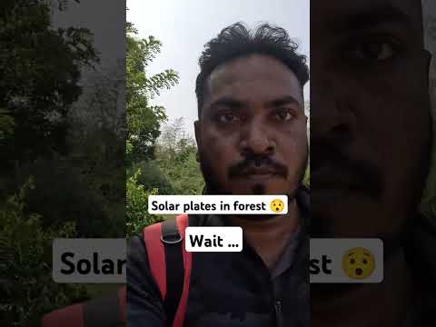 Solar plates in forest || Nagar hole forest banglore #shorts #trending #forest #solarpowerinindia