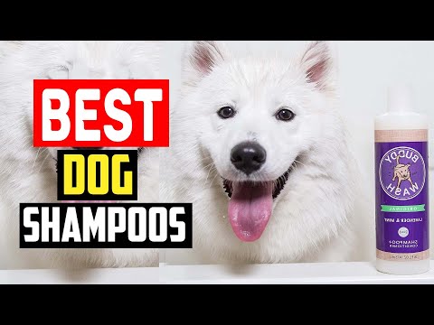 ✅Best Dog Shampoos in 2023