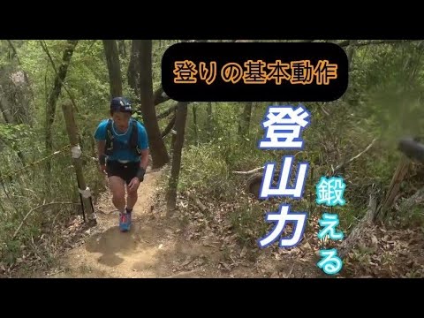 【登山力を鍛える効率の良い登り方】マラソンよりハードなトレイルランニング、登山、山登り、トレラン、階段、すべてに対応し効率よく登ることで疲れにくくなるので、結果的にトラブル防止に繋がります。