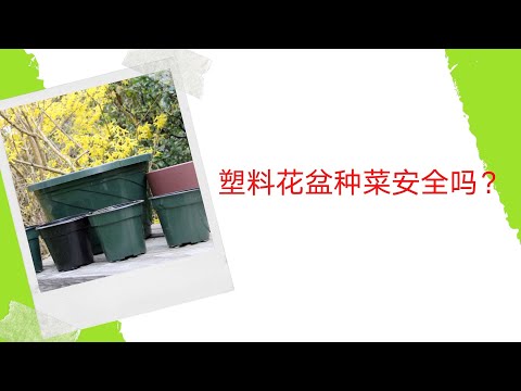 塑料花盆种菜安全吗？7类塑料制品为您详细介绍，自制表格，一目了然！