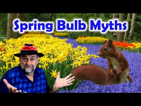 Squirrels and Other Spring Bulb Myths