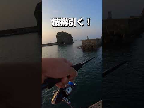 船が通った後は釣れる説は本当か？！夕方の漁港で試してみた！ #shots