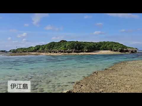 それが島人ぬ宝　備瀬のフクギ並木を訪れて