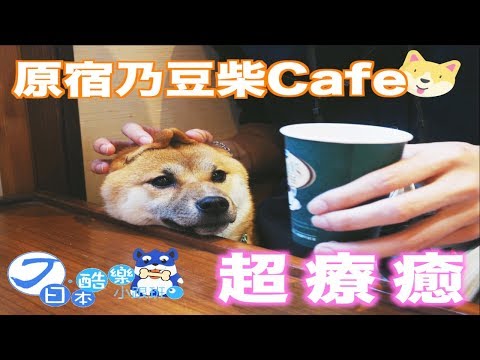 【日本酷樂小跟班】你需要被療癒嗎！！那就來原宿乃豆柴咖啡店吧～～