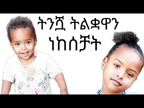 አፎምያ  አኪያን እጃን ነክሳ አስለቀሰቻት