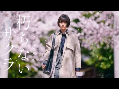 映画『朽ちないサクラ』(2024)柚月裕子の小説「朽ちないサクラ」を実写化したサスペンスミステリー