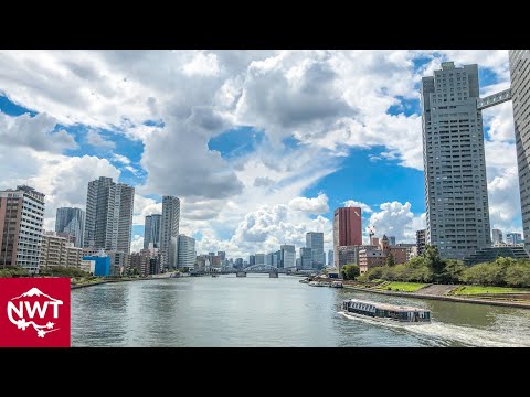 Bridge Tour In Tokyo Seaside Area 4K