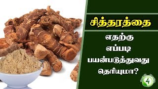 சித்தரத்தை எதற்கு எப்படி பயன்படுத்தணும் தெரியுமா?Sitharathai