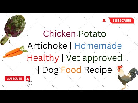 Chicken Potato Artichoke  Homemade Healthy  Vet approved  Recipe DIY Dog Food  blogsbyibrar