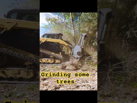 Mulching trees Cat299 #shortsvideo #mulching #landclearing