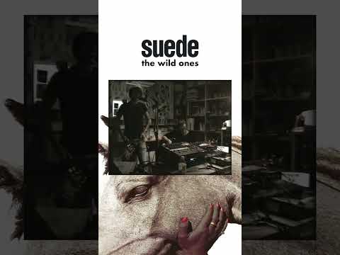 "We'll be the wild ones, running with the dogs today" #Suede