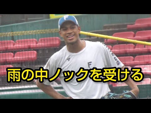 日本ハム、雨の中ノックを行う（結局試合は中止）2024.9.15