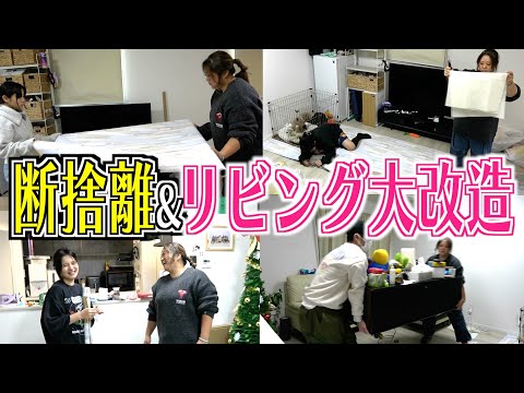 【変身】美奈子家のリビング大改造！愛犬たちの為に大奮闘！