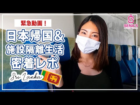 【日本人でも帰国困難】帰国予定者必見！帰国の様子から施設隔離生活まで密着レポ