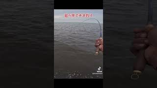 延べ竿でチヌ釣り #クロダイ #黒鯛釣り #チヌ釣り