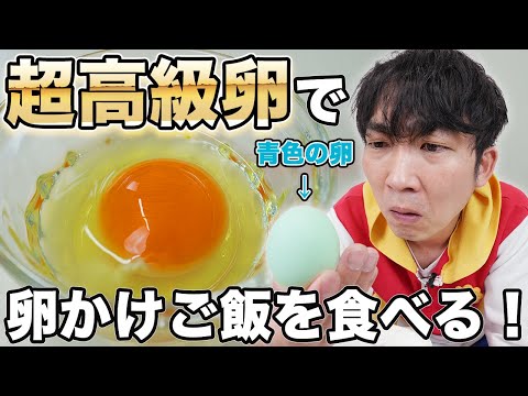 【最強のTKG】一個800円の超高級たまごでTKG作ってみた！