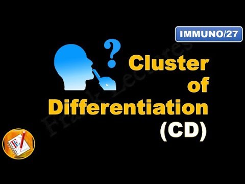 Cluster of differentiation (CD) in Immunology (FL-Immuno/27)