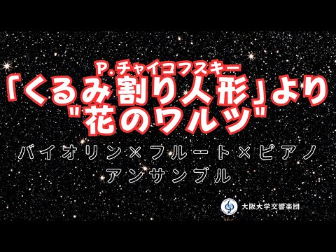 P.チャイコフスキー／「くるみ割り人形」より "花のワルツ" 【フルート×バイオリン×ピアノ】#学生 #アンサンブル #オーケストラ #くるみ割り人形  #チャイコフスキー #花のワルツ  #阪大オケ