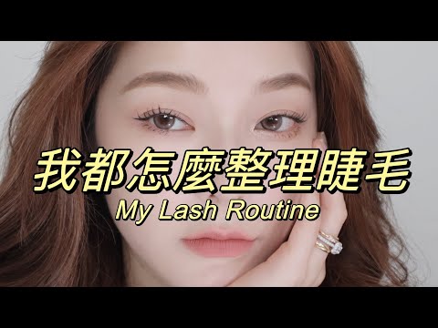 睫毛大全│ 讓睫毛瞬間綻放～怎麼夾睫毛 燙睫毛 戴假睫毛 女團太陽花睫毛!? • My Lash Routine │ Lenna Wang #eyelashes #睫毛