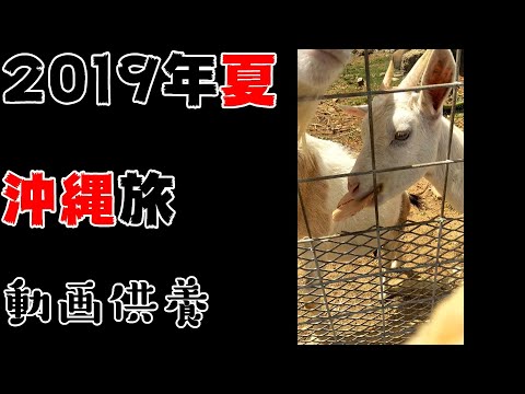 【旅ブログ】2019年沖縄旅☆夏【#06】