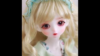 BJD Doll Shuga Fairy Qin 1/6