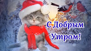 С Добрым Утром! Я Загадаю Счастья В Дом Родной! Тёплое Пожелание. Музыка Сергей Чекалин.