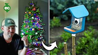 Don't Throw Your Christmas Tree Away (Do This Instead)🎄