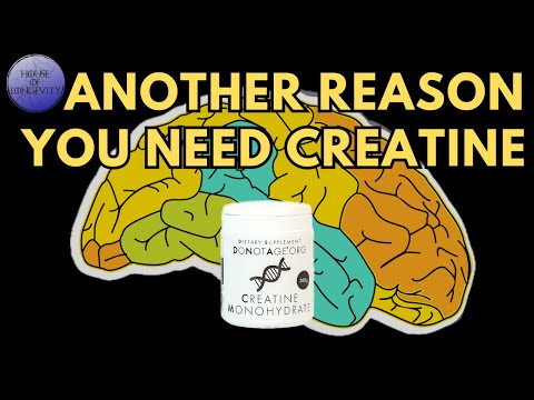 Creatine Will SUPERCHARGE Your Brain!