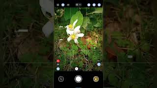 New Powerful Gcam 😵 Lmc8.4 Config File 😵😵Special Config File ♥️Subscribe new #shorts #youtubeshorts