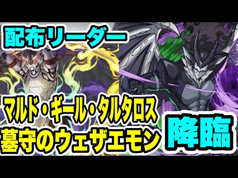 【クエスト消化用】ズラすだけ‼️墓守のウェザエモン降臨＆マルド・ギール・タルタロス降臨 周回編成・立ち回り紹介！！【マガジンコラボ】【パズル&ドラゴンズ/#パズドラ】