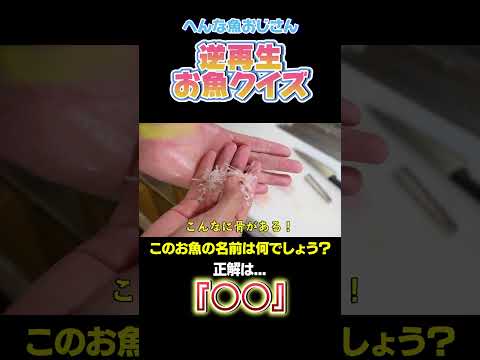 【逆再生お魚クイズ】僕が好きなこのお魚はなんでしょう？！難易度★3 #shorts #seafood #食テロ #asmr ＃逆再生 #お魚クイズ