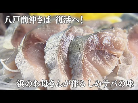 八戸前沖さば復活へ！港町のお母さんが作る絶品”しめサバ”