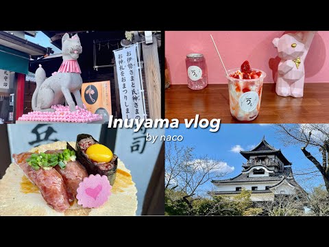 Vlog. Eating around Inuyama Castle Town 🐶 ｜ National Treasure Inuyama Castle 🏯 ｜ Aichi Tourism