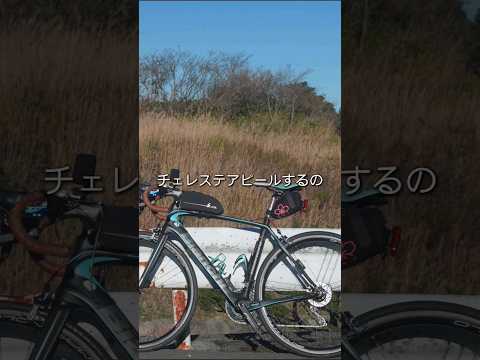 ビアンキおぢさんの渾身のロードバイクがひろゆきのようにしゃべり出した結果 #ロードバイク #ひろゆきメーカー #愛車紹介