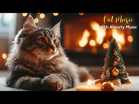 Soothing Music for Anxious Cats: Melodies Keep Your Cat Calm,  Reduce Anxiety And Sleep Well 💤