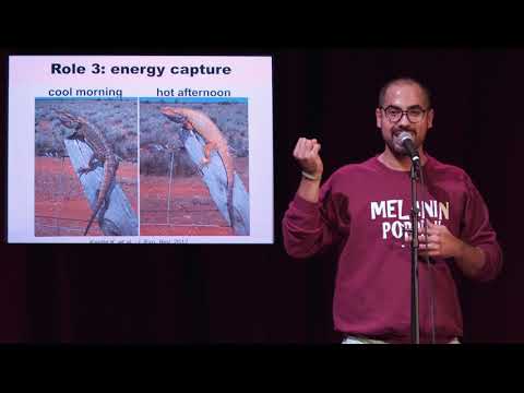 Radames Cordero - Melanin-based Applications For Human Space Exploration - Ignite Baltimore 21