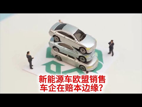 11 3 新能源车欧盟销售：看似暴利，实则车企在赔本边缘？