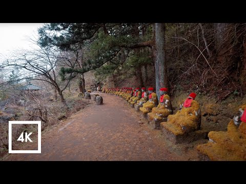 Rainy Day Nature Walk in Nikko, Japan, Relaxing Nature Sounds | 4K