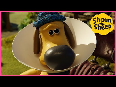 🐑 Shaun The Sheep YouTube Special 🐑 Cone of Shame🐑 Brand New Episodes, Cartoons for kids