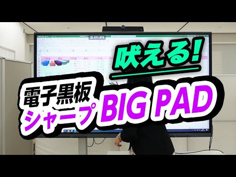 【2分解説】BIG PAD