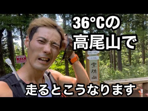 真夏の高尾山でトレイルランニング。北高尾〜堂所山〜陣馬山〜明王峠ルート案内。#高尾山#トレランランニング#スパルタンレース