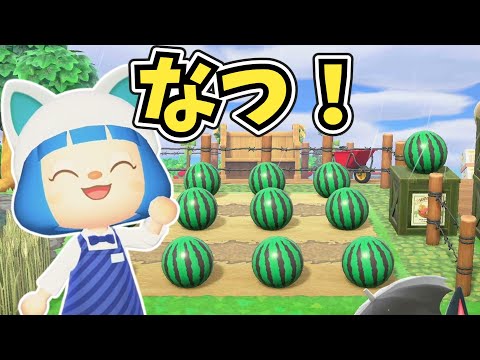 【夏を先取り】夏野菜いっぱい！？畑を島クリだ【あつ森ゆっくり実況】