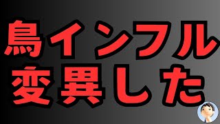 鳥インフル変異😱😱😱発生