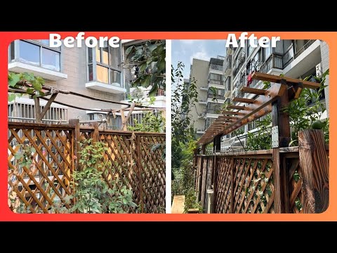 花园围栏升级葡萄架｜Garden fence upgrade grape trellis｜20240906