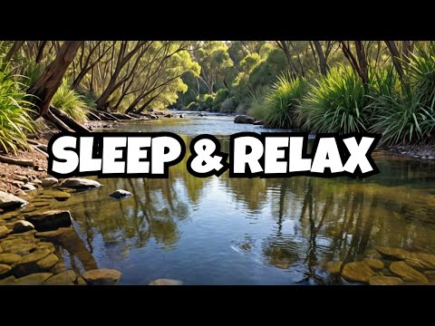 Stream sounds for relaxation and sleep: The #1 Sound in the World