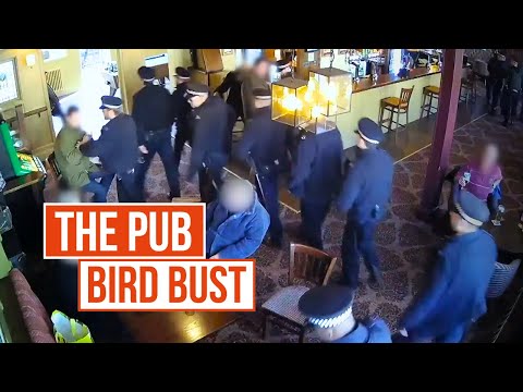 Illegally Selling Exotic Birds - from a London Pub?! | Special Ops: Crime Squad UK