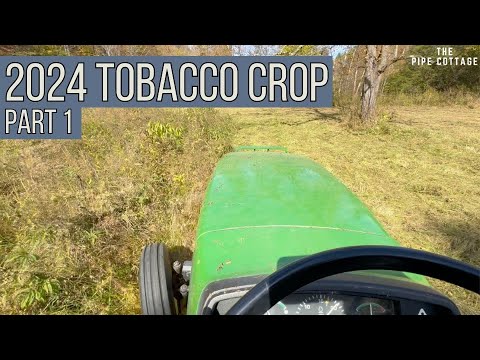 2024 Tobacco Crop: Part One