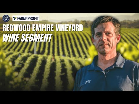 Cultivating Success: How Sonoma County Leads the Way in Vineyard and Winery Development